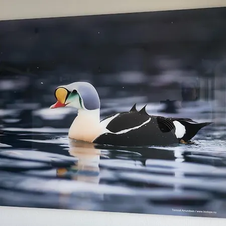 Varanger Fjordhotell 게스트하우스 벧소