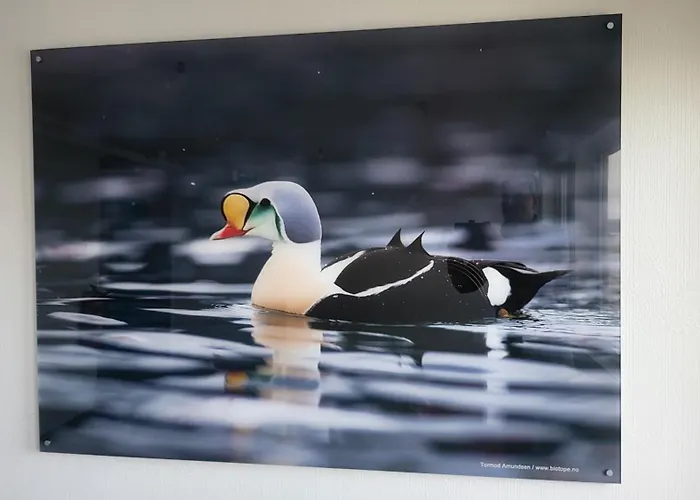 Varanger Fjordhotell 게스트하우스 벧소