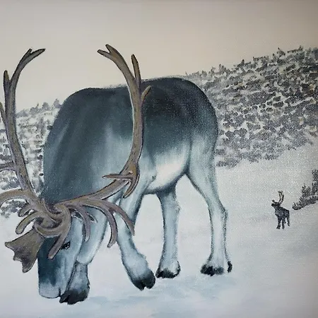 Varanger Fjordhotell Konukevi *